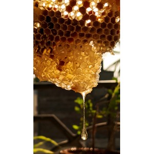 🐝 Vente RUCHE COMPLÈTE + ABEILLES - 249 € | Jura Ain Saône