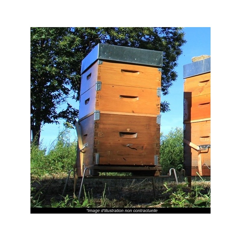 🐝 Vente RUCHE COMPLÈTE + ABEILLES - 249 € | Jura Ain Saône 🐝 Vente RUCHE COMPLÈTE + ABEILLES - 249 € | Jura Ain Saône