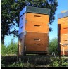 🐝 Vente RUCHE COMPLÈTE + ABEILLES - 249 € | Jura Ain Saône