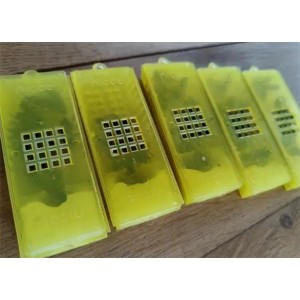 Reine Buckfast F1 fécondée - Déclassée / Réformée | 20 €