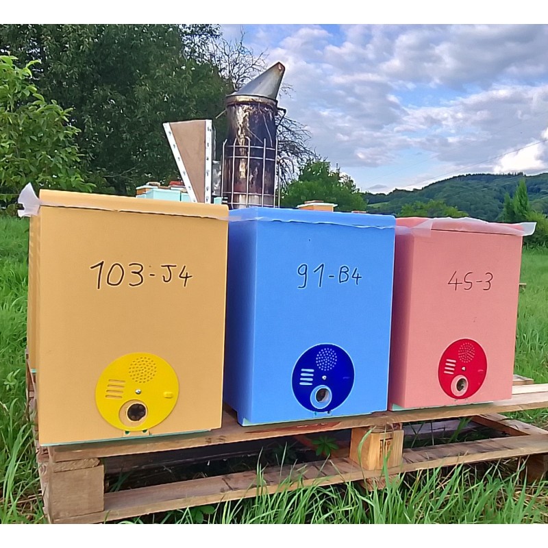 🐝 Vente ESSAIM D'ABEILLES + RUCHETTE - 164€ | Jura Ain Saône 🐝 Vente ESSAIM D'ABEILLES + RUCHETTE - 164€ | Jura Ain Saône