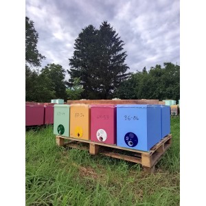 🐝 Vente ESSAIM D'ABEILLES + RUCHETTE - 164€ | Jura Ain Saône
