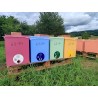 🐝 Vente ESSAIM D'ABEILLES + RUCHETTE - 164€ | Jura Ain Saône