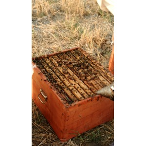 🐝 Vente RUCHE COMPLÈTE + ABEILLES - 249 € | Jura Ain Saône