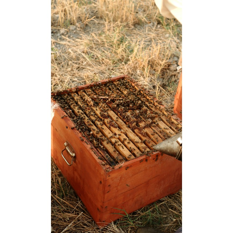 La Ruche des Abeilles® - Ulule