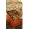🐝 Vente RUCHE COMPLÈTE + ABEILLES - 249 € | Jura Ain Saône